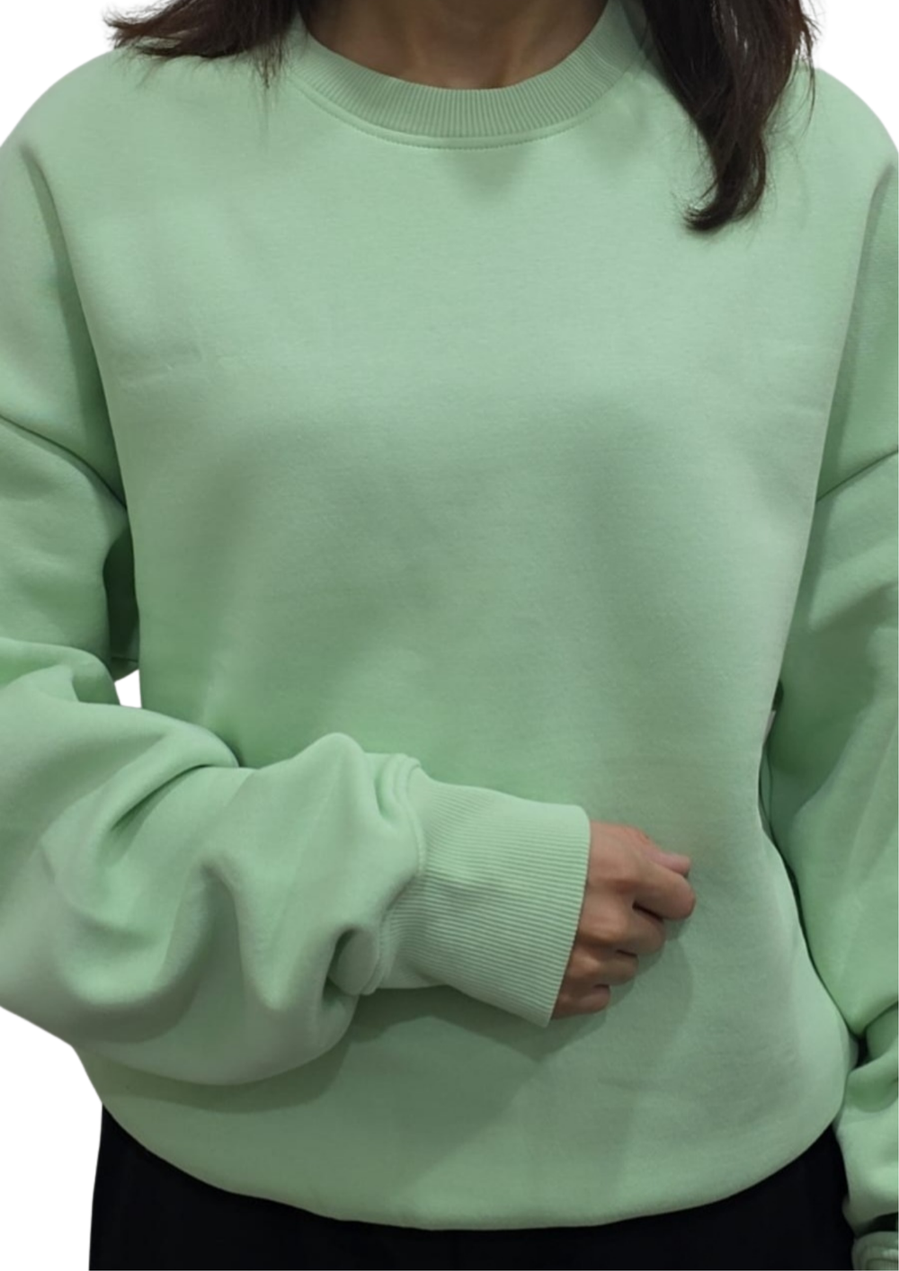 Women Sweatshirt |Pastel Green