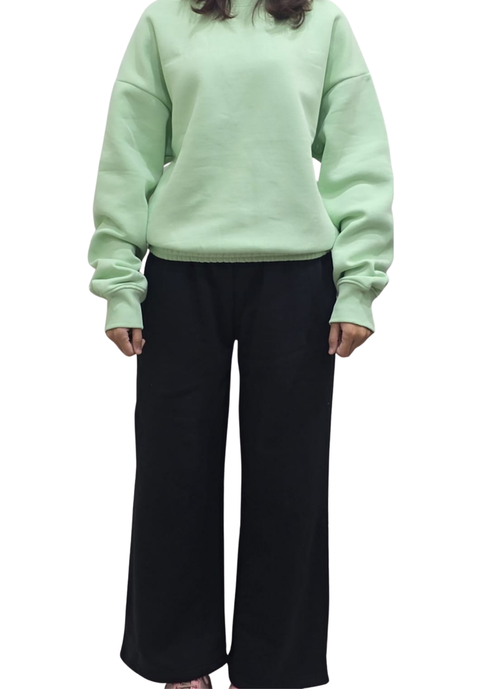 Women Sweatshirt |Pastel Green